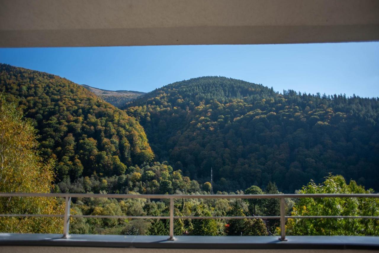 Blue Forest Studio Sinaia Exterior foto